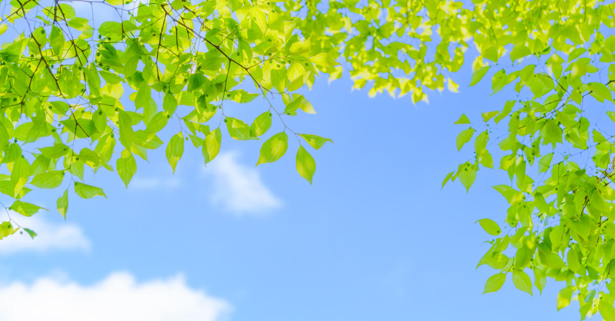 2026年 GW休業のお知らせ